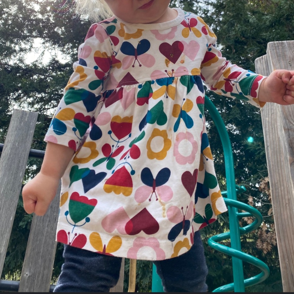 Hanna Andersson Pink and Red Heart Dress